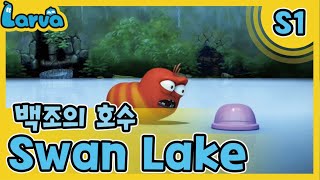 LARVA S01 | 라바 시즌 1 | Episode | 093_백조의호수(Swan Lake) | 케이블 TV_VOD