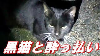 【猫連れ冬キャンプ番外編】黒猫に語り掛ける酔っ払い父ちゃん