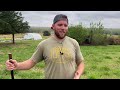 WATCH THIS BEFORE GETTING BACKYARD  CHICKENS!!