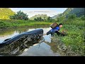 Nam went to collect snails in an abandoned pond, discovered many big fish and caught them to sell