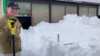 サタナス　記録破りの大雪との格闘