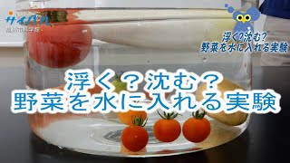 浮く？沈む？野菜を水に入れる実験