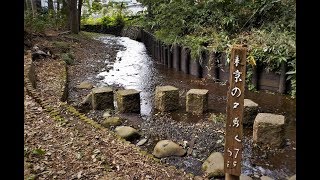 東京の名湧水57選＠黒目川天神社