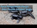 [CERITA PESISIR] Penyelamat Penyu dari Pesisir Selatan Yogyakarta