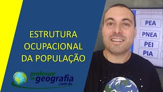 ESTRUTURA OCUPACIONAL DA POPULAÇÃO - PEA E SETORES ECONÔMICOS