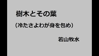 樹木とその葉（冷たさよわが身を包め）　作：若山牧水