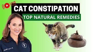Cat Constipation - Top Natural Remedies & Cat Food Options