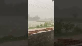 ਤੇਜ਼ ਮੀਂਹ ਤੇ ਗੜੇ ⛈️😳😱 #shorts #viral