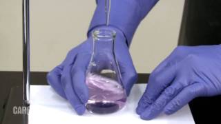 Setting up and Performing a Titration