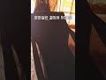 캠크닉 가기 좋은 곳 횡성 섬강유원지 캐스퍼캠크닉 노지감성캠크닉