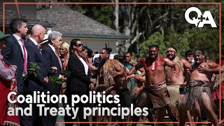 Maiki Sherman: How coalition politics affect Treaty Principles Bill | Q+A 2024