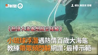 小琉球浮潛遇上熱情百歲大海龜 教練帶潛水客頻閃躲網友狂讚：最棒示範│寵物│海龜