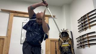 Ogawa Ryu - 抜刀返し Battougaeshi 不意をつ止め Fuiwotsudome - Shidoshi Jordan Augusto - During Class