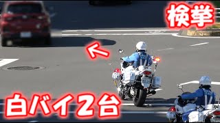 【警察２４時】白バイさん２台で取り締まる　３連発　IN王子