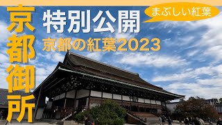 【京都御所を歩く】京都の紅葉2023 京都御所特別公開 御苑の紅葉が見頃 Kyoto Imperial Palace Autumn special exhibition