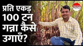 एकड़ में 100 टन Ganna पैदा करें || Sugarcane Farming Tips || ऊस लागवड नवीन पद्धत || News Potli