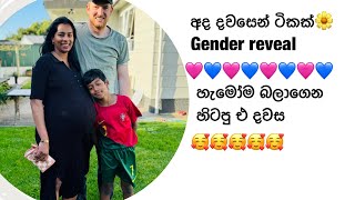 අද දවසෙන් ටිකක්🌼Gender reveal 🩷💙