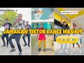 JAMAICAN TIKTOK DANCE MASHUP #2024