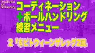 【月バス８月号】コーディネーション＋ボールハンドリング練習メニュー「02 ⑥ビトウィーンザレッグ2回」