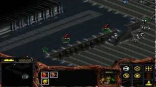 StarCraft_Zerg_5_254.mp4