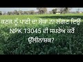 ਕਣਕ ਨੂੰ ਪਾਣੀ ਦਾ ਸੋਕਾ ਨਾ ਲੱਗਣ ਦਿਉਂ npk13045 ਦੀ ਸਪਰੇ ਕਰੋ ਉੱਲੀਨਾਸ਼ਕ wheat kisan crop crops trend