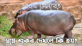 Shopne sukor dekhle ki hoy | স্বপ্নে শুকর দেখার ব্যাখ্যা | স্বপ্নে কি দেখলে কি হয় স্বপ্নের ব্যাখ্যা