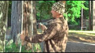 4 Basic Knots for Tree Work