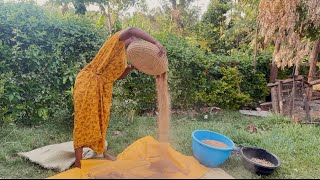 UNLOCKING FINGER MILLET THE TRADITIONAL WAY-A MUST SEE METHOD ‼️#village #farming #vlog