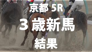 【京都5R・3歳新馬】エナジーガンツが直線内から鋭く抜け出しデビュー勝ち｜競馬ニュース｜競馬予想のウマニティ