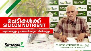 ചെടികൾക്ക് SILICA NUTRIENT