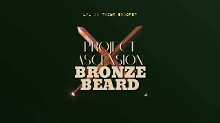 Project Ascension PVP - BronzeBeard Twink Bracket 25 classic vibes phase 1 fun