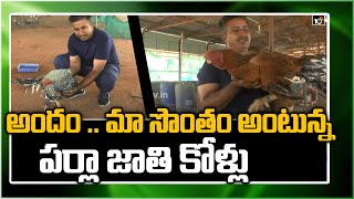 అందం .. మా సొంతం అంటున్న పర్లా జాతి కోళ్లు | Spl Story on Parla Cocks | 10TV