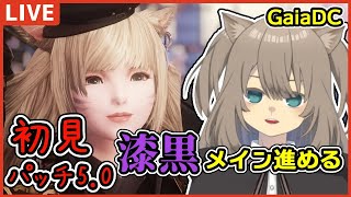 【FF14/視聴者参加型】初見でFF14　漆黒メインクエ進める【Vtuber】