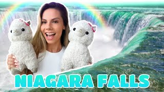 MY CRAZY LLAMAS vs. NIAGARA FALLS