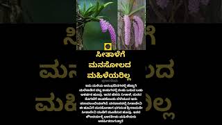 ಸೀತಾಳೆಗೆ ಮನಸೋಲದ ಮಹಿಳೆಯರಿಲ್ಲ