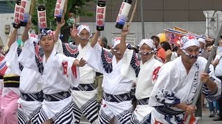 流し踊り「阿呆連」第32回南越谷阿波踊り（2016.8.21）