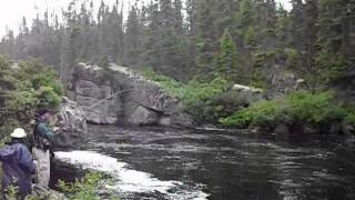 15LB Salmon North Pole Stream