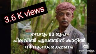 How to Protect cardamom plant for Monsoon wind#grobag/ഏലച്ചെടിയെ എങ്ങനെ കാറ്റിൽ നിന്നും രക്ഷിക്കാം