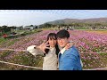 vlog🌼一齊去睇波斯菊🌼 元朗 錦田鄉村俱樂部🌾估你唔到居然有馬騎🤣 kevin claps for 聖誕老人🎅摘士多啤梨~🍓同太陽花打卡🌻 miso chan