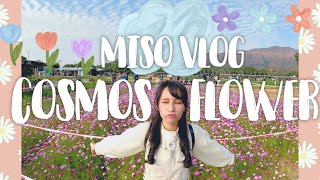 VLOG🌼一齊去睇波斯菊🌼|元朗 錦田鄉村俱樂部🌾估你唔到居然有馬騎🤣 Kevin Claps for 聖誕老人🎅摘士多啤梨~🍓同太陽花打卡🌻 | MISO CHAN