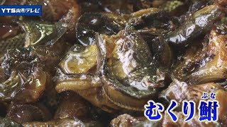 置賜地方の伝統料理「むくり鮒」特産品に復活目指す