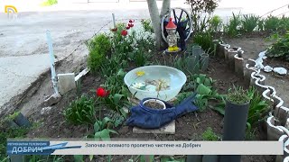 Започва голямото пролетно чистене на Добрич