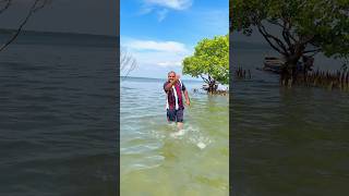 Sambranikodi Island | kollam| Ashtamudi Lake | Kerala. #viral #shorts #ytshorts #sambranikodi