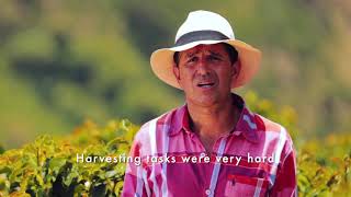 RGC Coffee - Las Manos del Café - Farmworkers - an RGC 3E® Community Program