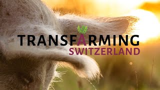 Transfarming Switzerland (Official Trailer)