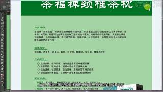 33 第三章文本和段落 7嵌套样式