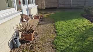 East Ruston Cottages Redroofs Garden