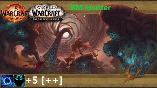 WoW TWW Season 1 M+ #6:  Mists of Tirna Scithe [M5+2]