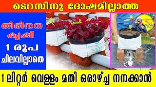 ചിലവില്ലാത്ത തിരിനന കൃഷി 👌🏻👌🏻#Wick_irrigation #malayalam #grow_bag #vegetabe #agriculture #youtube