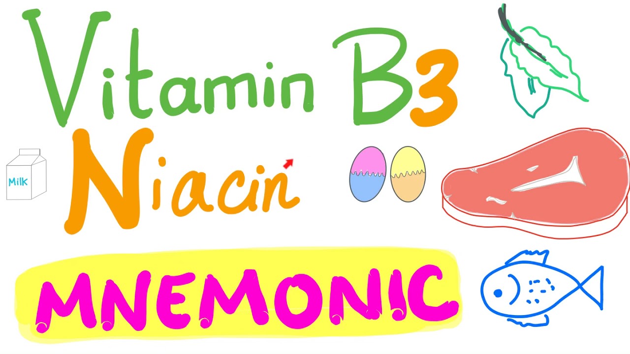 Vitamin B3 (Niacin) - NAD+, NADH, Nicotinic Acid - Mnemonic - YouTube